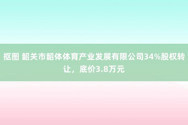 抠图 韶关市韶体体育产业发展有限公司34%股权转让，底价3.8万元