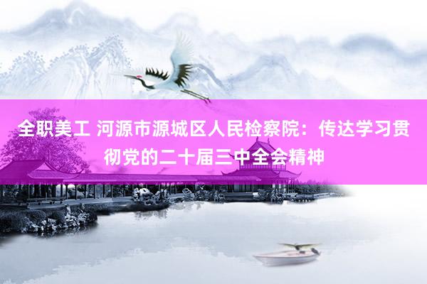 全职美工 河源市源城区人民检察院：传达学习贯彻党的二十届三中全会精神