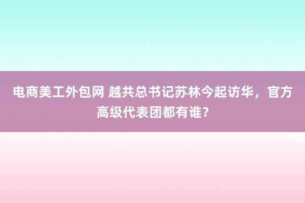 电商美工外包网 越共总书记苏林今起访华，官方高级代表团都有谁？