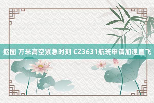 抠图 万米高空紧急时刻 CZ3631航班申请加速直飞